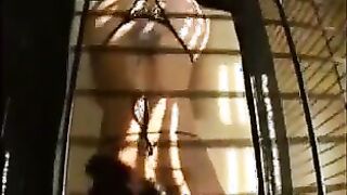 Tattooed Whore Gang Banged