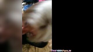 Hottie Drains My Balls And Swallows