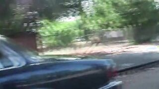 Gloryhole babe turned on by a large boner