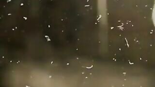 Lesbians With A Strange Fetish