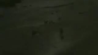 Blonde Babe Fucks After A Walk