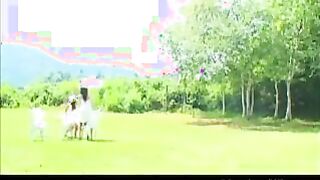 Japanese Lesbians At A Park