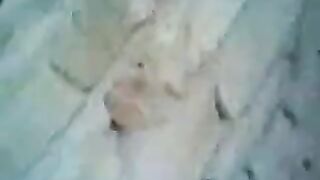 Arabs Caught Fucking Outdoors