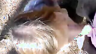 Sucking Cock Outdoors At A Park