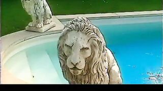 Hot German nymphs having a retro threesome