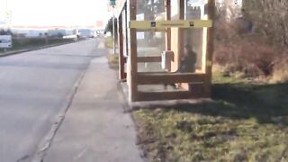 Amazing chick anal sex at bus station