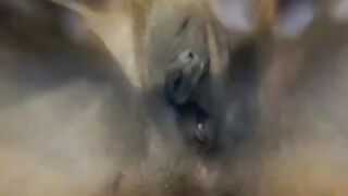 Black Gaping and squirting pussy Priscilla