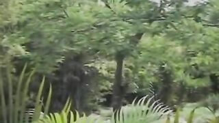 Tranny Shemale Anal Sex Action