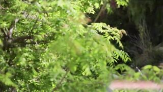 Lesbian lovers caught up in each other