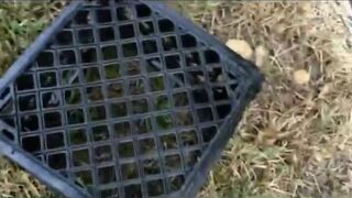 Dirty Hot College Blonde Ex Girlfriend Doggystyled POV