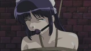 Petite Maid Gagged While Taken Advantage