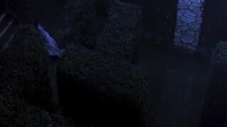 Alluring Celebrity Savors One Other Gal