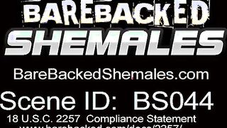 Shemale Threesome with Slutty Bestfriend