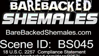 Wild hot tranny raw ass fuck