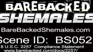 Black Shemale Takes Turns Fucking Guy and Babe