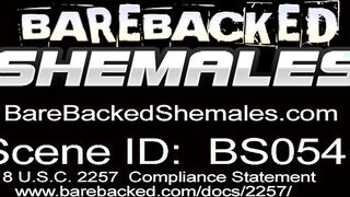 Shemale Gets Fucked And Cum All Over Her Ass