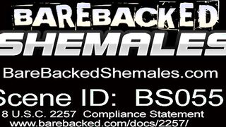 Hot and Sexy Tranny Full of Pleasure