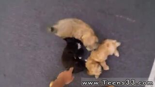 Big tits teen orgy hardcore snapchat Puppy Love