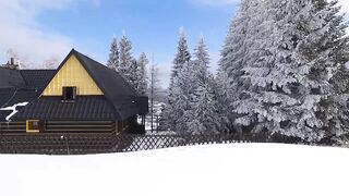 Auf der Suche nach Amateur-Muschi Vol.2