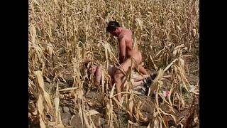 Wild vintage pussies (Full Movie)