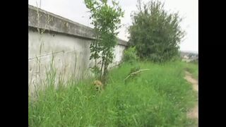 Public Viewing (Full Movie)