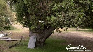 vintage outdoor orgy, wet pussies, tight asses, ANAL, DP