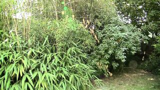 Perfect Orgasm - (Full Movie HD Original uncut Version)