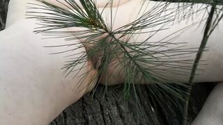Tit training and whipping in the woods