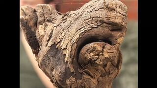 Haus frauen privat (Full Movie)