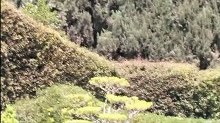 Assploitations 8 Scene-4