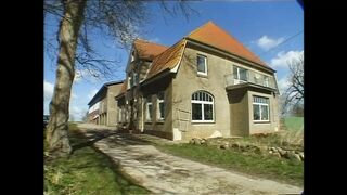 Un giorno di ordinaria follia! (Full Original Movie in HD