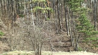 blond bitch has sex in the park!