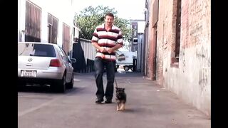 Pure American Stallions dirty Adventures XXX!!! - Vol. #06