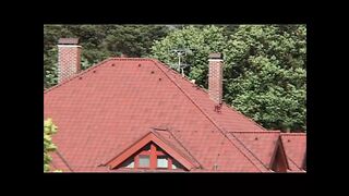 Le Regole del Mio Sesso (Full Movie)