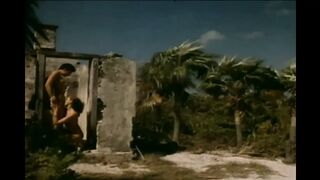 Nasty Stallions!!! - Vol. #05