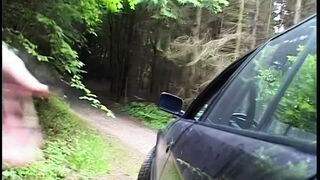 Blondine am Strassenrand aufgerissen und durch gefickt