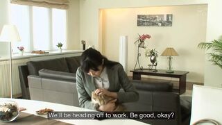 Meyd-441: the Pet Cam