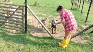 The farmer's in doggiestyle #4