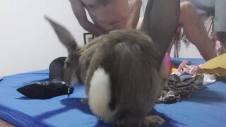 Rush - Dress, nightie, panties, heels & fishnet, blowjob, rim job, dirty talk, spanking, anal fucking